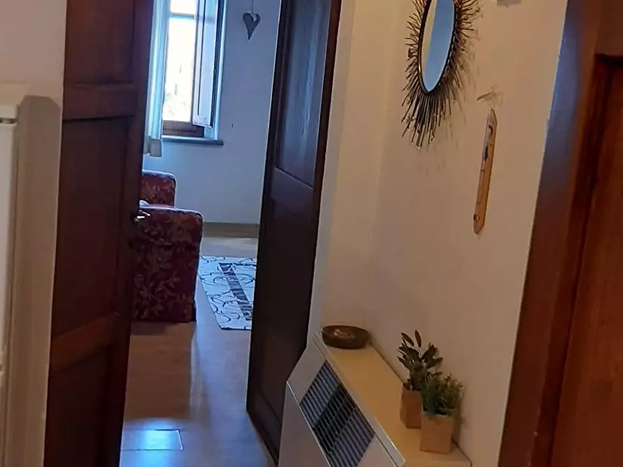 Immagine 6 di Appartamento in affitto  a Peccioli