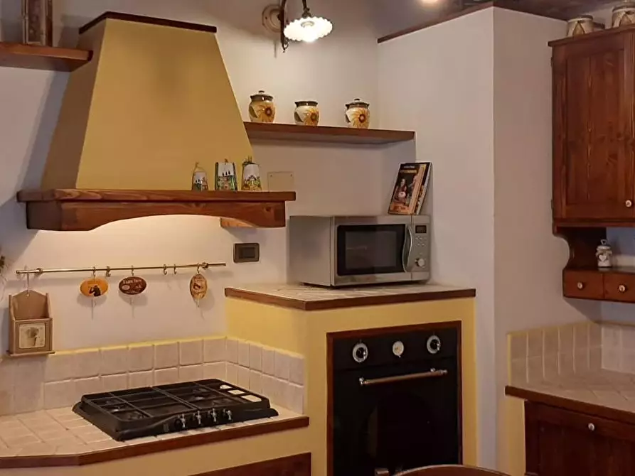 Immagine 1 di Appartamento in affitto  a Peccioli