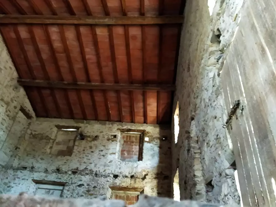 Immagine 5 di Magazzino in vendita  a Lucca