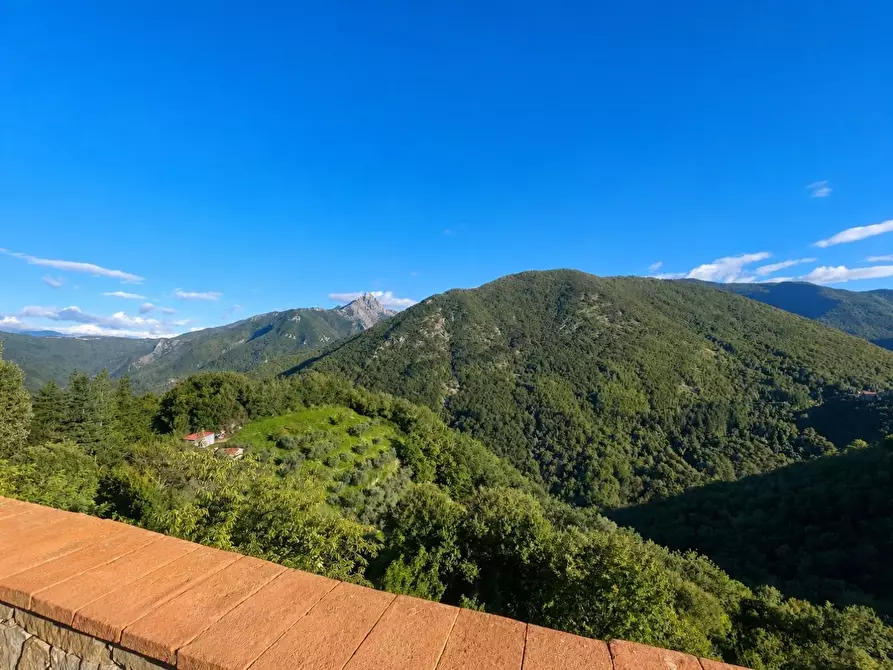 Immagine 28 di Terratetto in vendita  a Fivizzano