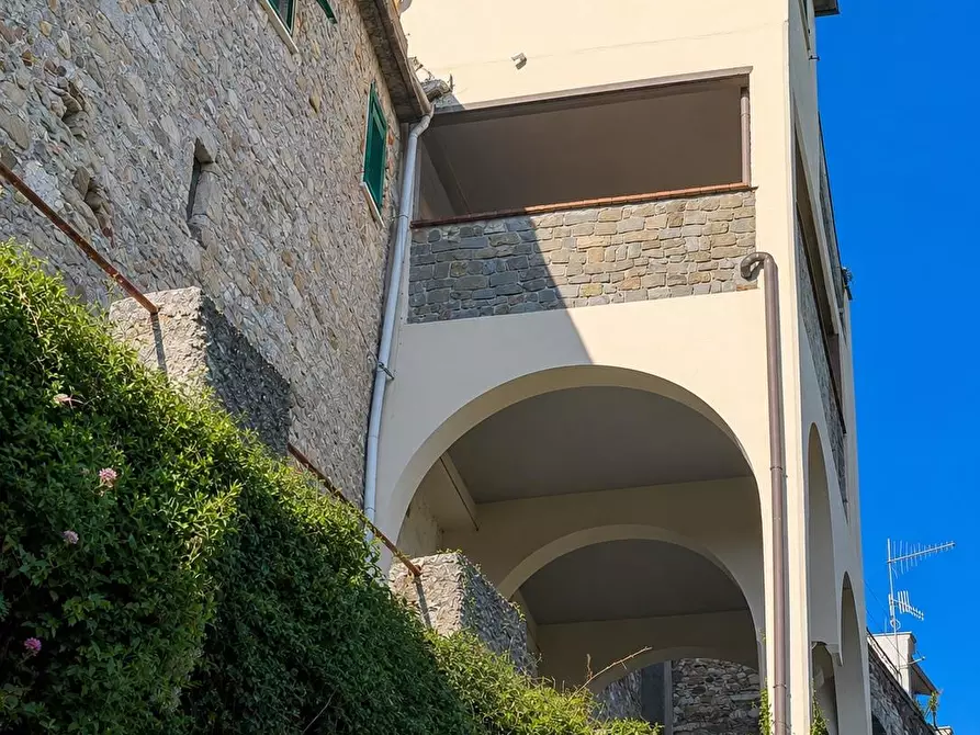 Immagine 3 di Terratetto in vendita  a Fivizzano