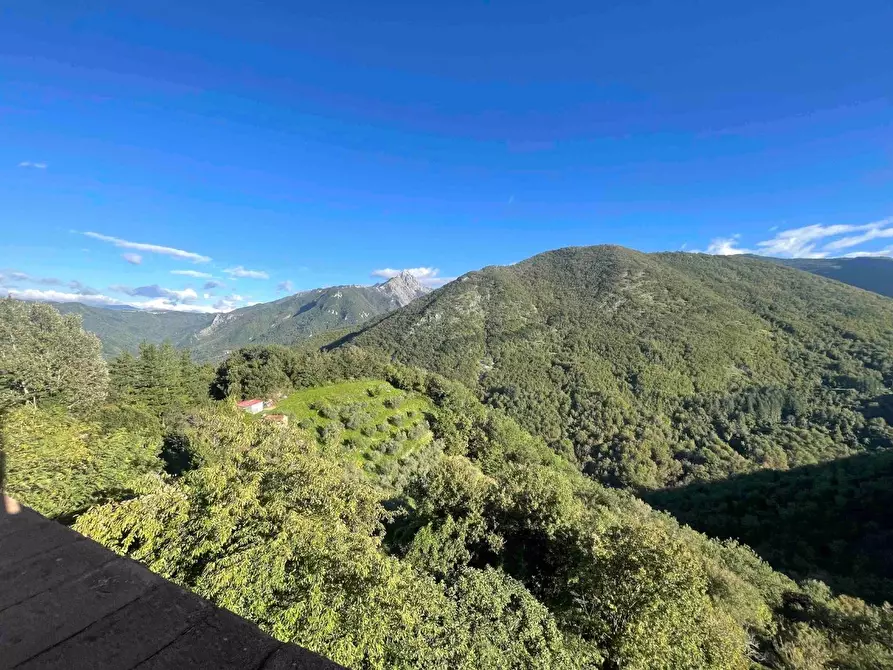 Immagine 31 di Terratetto in vendita  a Fivizzano