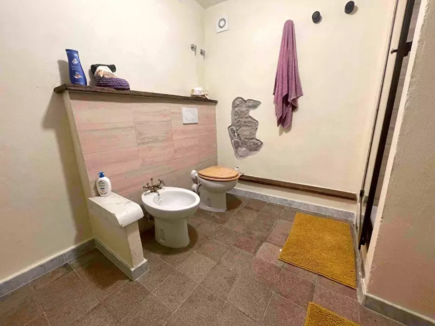 Immagine 27 di Terratetto in vendita  a Fivizzano