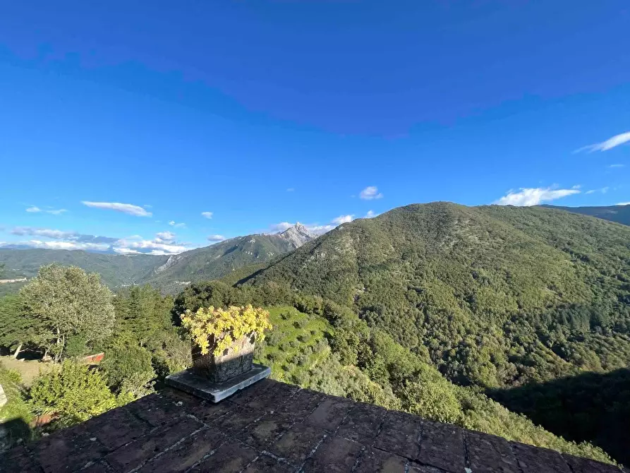 Immagine 11 di Terratetto in vendita  a Fivizzano