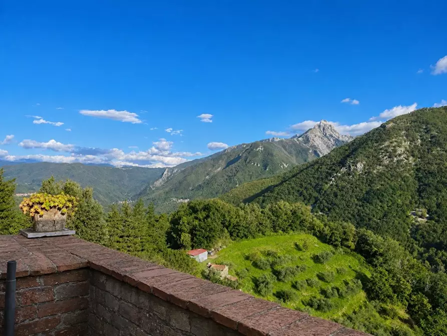 Immagine 9 di Terratetto in vendita  a Fivizzano