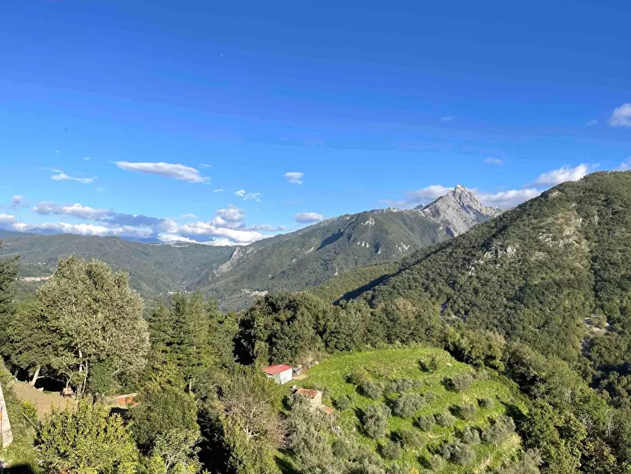 Immagine 1 di Terratetto in vendita  a Fivizzano