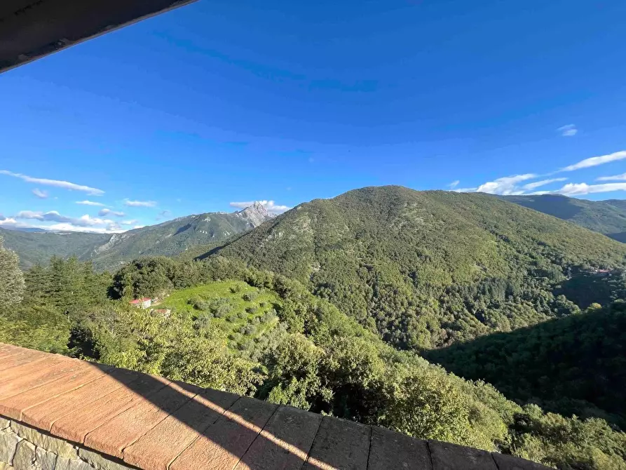 Immagine 30 di Terratetto in vendita  a Fivizzano