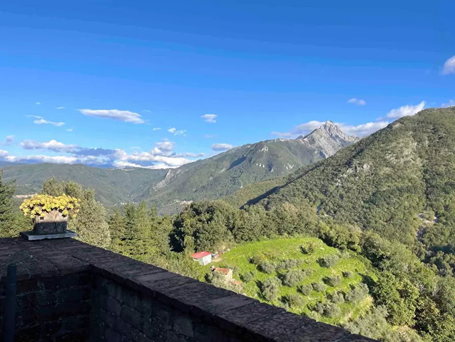 Immagine 10 di Terratetto in vendita  a Fivizzano