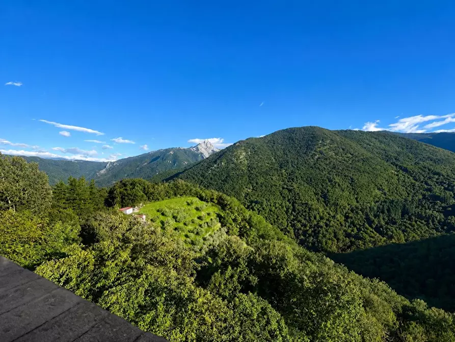 Immagine 29 di Terratetto in vendita  a Fivizzano