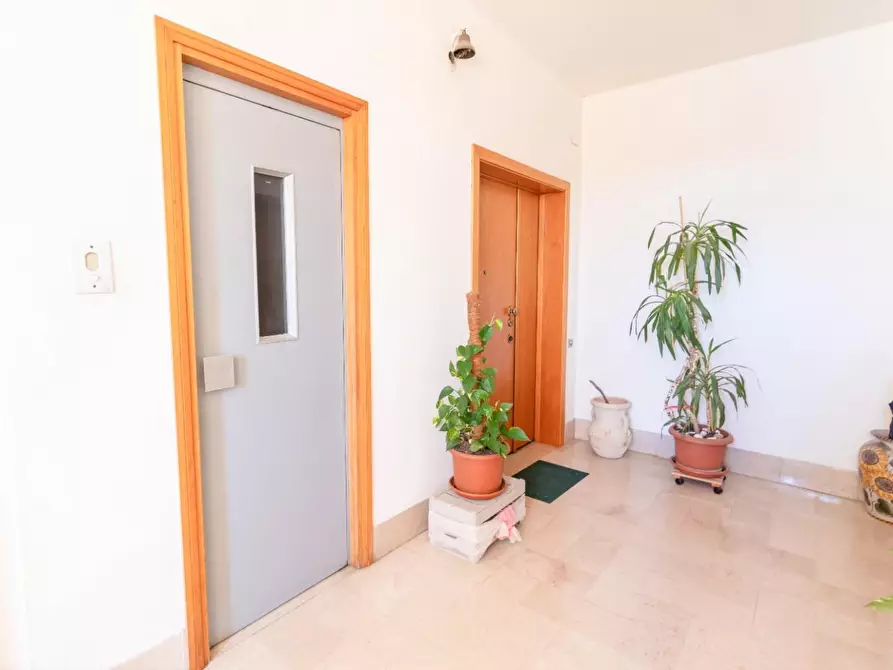 Immagine 7 di Appartamento in vendita  a Pontedera