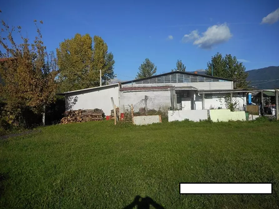 Immagine 4 di Attività artigianale in vendita  a Massa