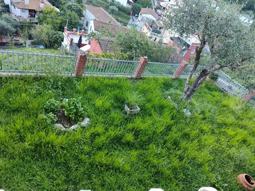 Immagine 13 di Casa indipendente in vendita  a Carrara