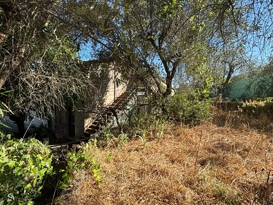Immagine 2 di Casa indipendente in vendita  a Vicopisano