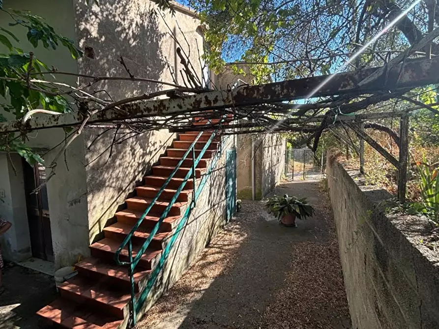 Immagine 3 di Casa indipendente in vendita  a Vicopisano