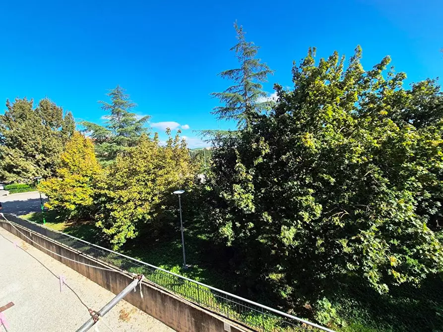 Immagine 3 di Appartamento in vendita  a Siena