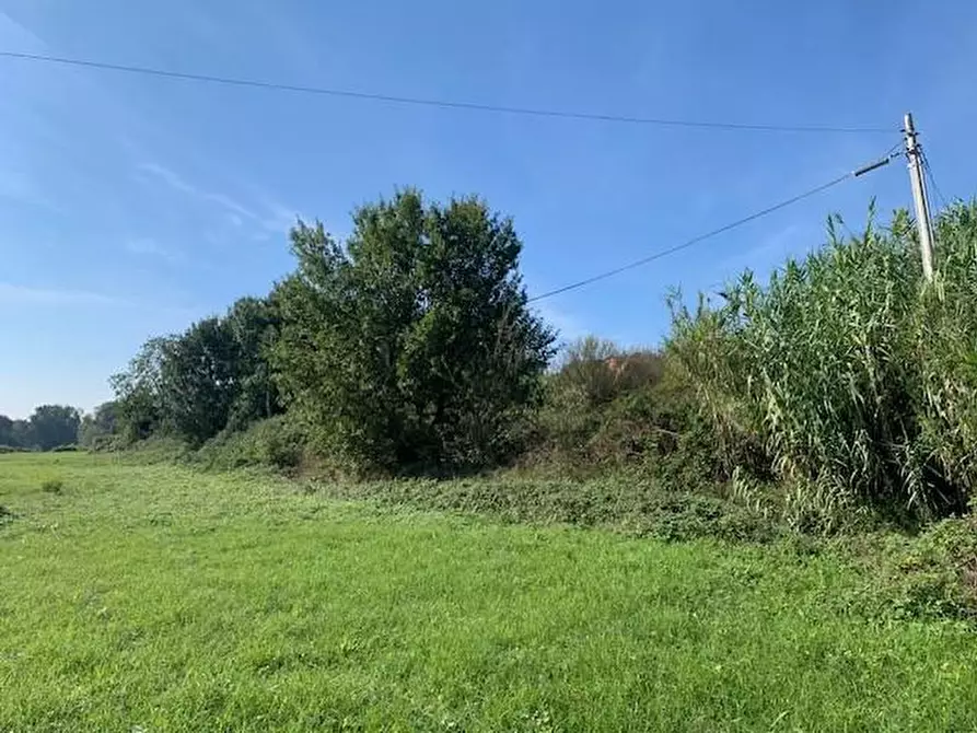 Immagine 5 di Casa colonica in vendita  a Buggiano