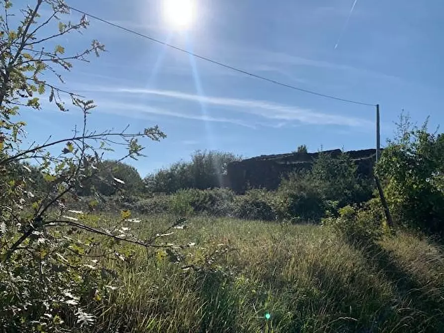 Immagine 6 di Casa colonica in vendita  a Buggiano