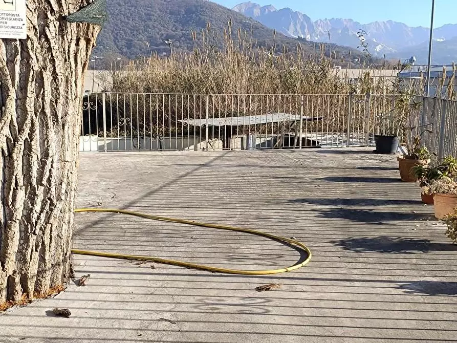 Immagine 12 di Attività artigianale in vendita  a Carrara