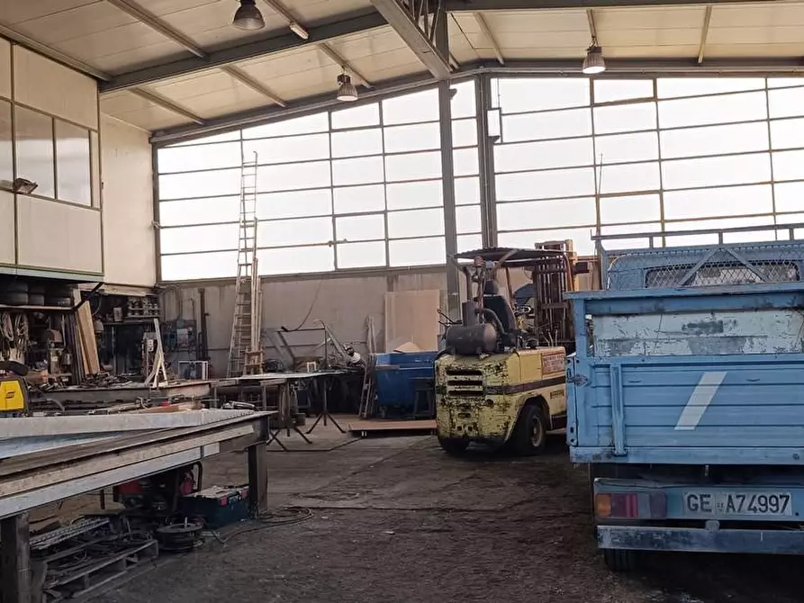 Immagine 3 di Attività artigianale in vendita  a Carrara