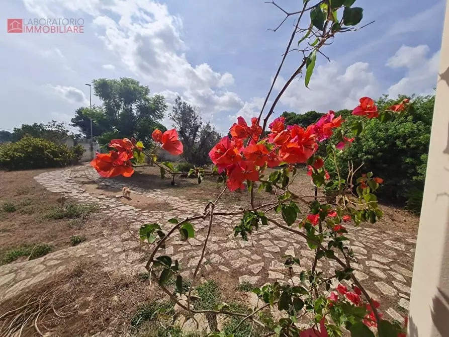 Immagine 2 di Villa in vendita  a Lecce