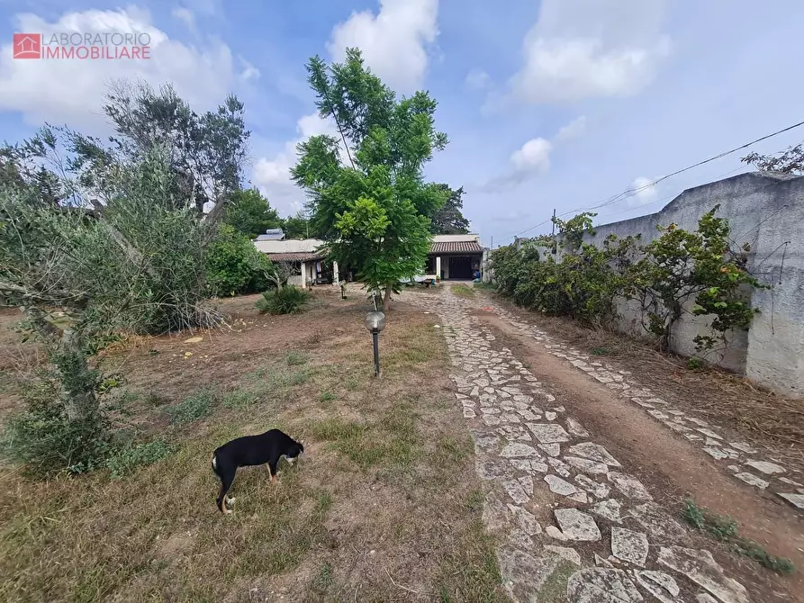 Immagine 5 di Villa in vendita  a Lecce