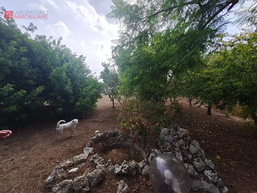 Immagine 39 di Villa in vendita  a Lecce