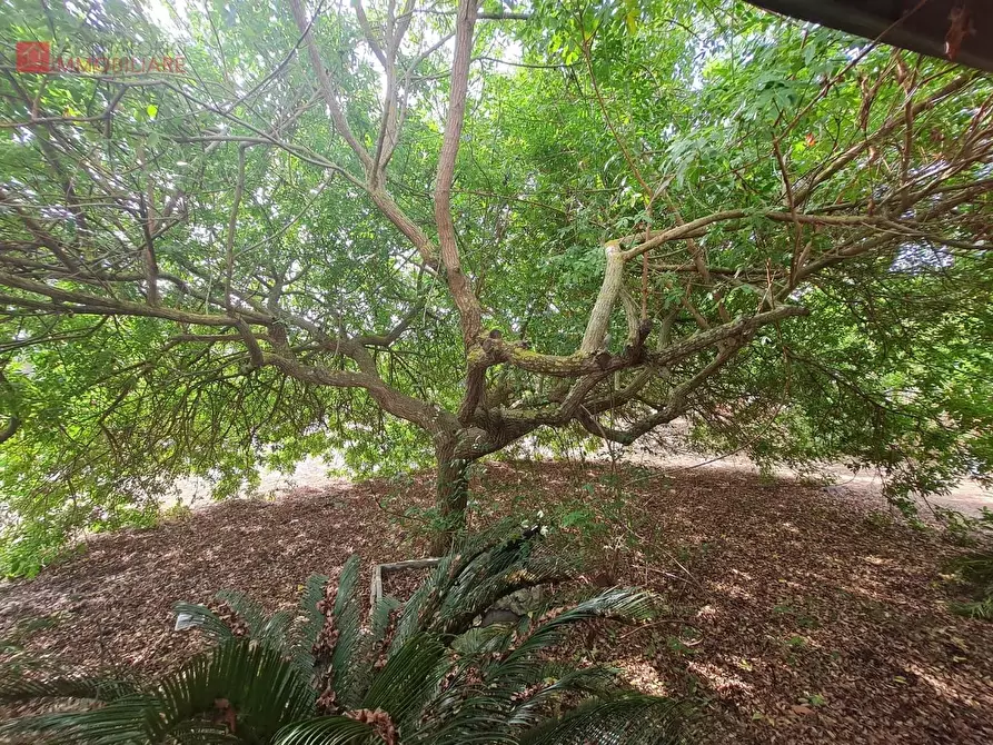 Immagine 8 di Villa in vendita  a Lecce