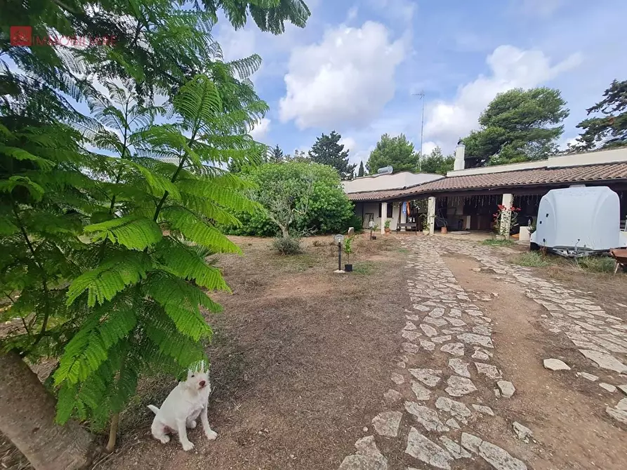 Immagine 7 di Villa in vendita  a Lecce