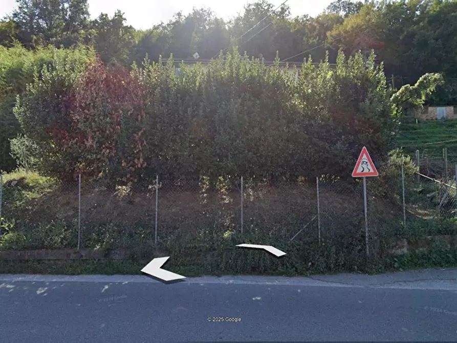 Immagine 2 di Terreno agricolo in vendita  a Carrara