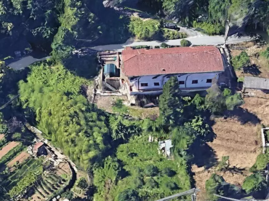 Immagine 1 di Terreno agricolo in vendita  a Carrara