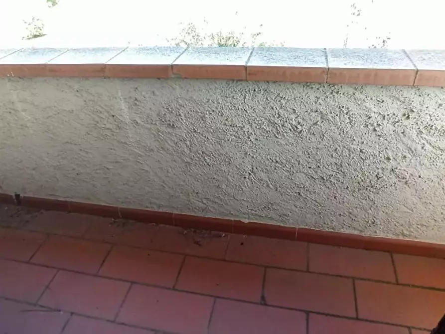 Immagine 58 di Casa bifamiliare in vendita  a Camaiore