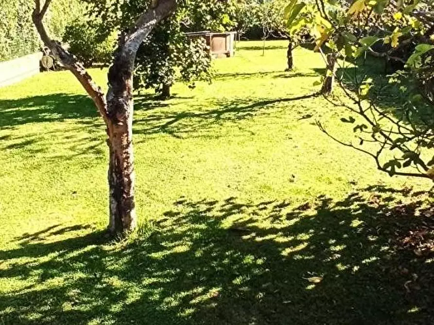 Immagine 5 di Casa bifamiliare in vendita  a Camaiore