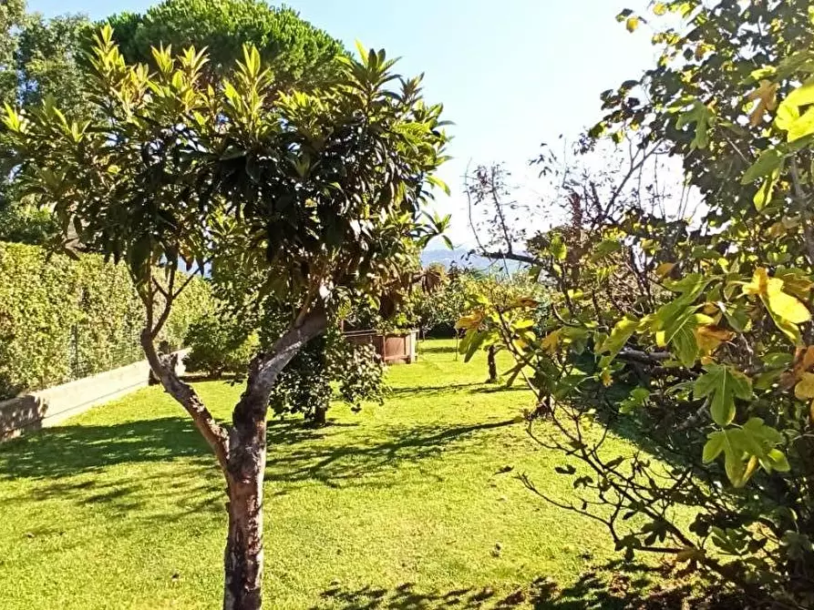 Immagine 4 di Casa bifamiliare in vendita  a Camaiore