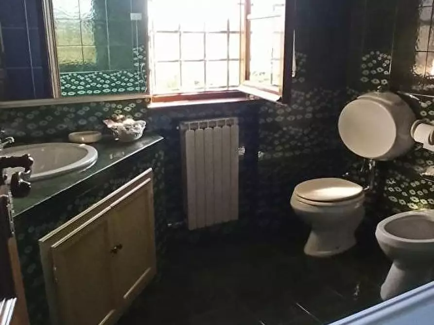 Immagine 61 di Casa bifamiliare in vendita  a Camaiore