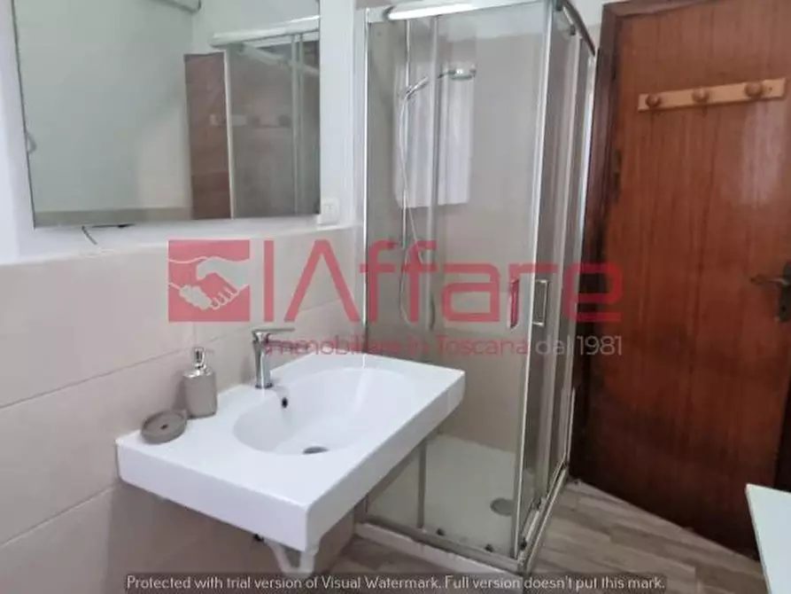 Immagine 24 di Appartamento in affitto  a Pontedera