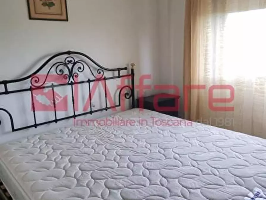 Immagine 28 di Appartamento in affitto  a Pontedera