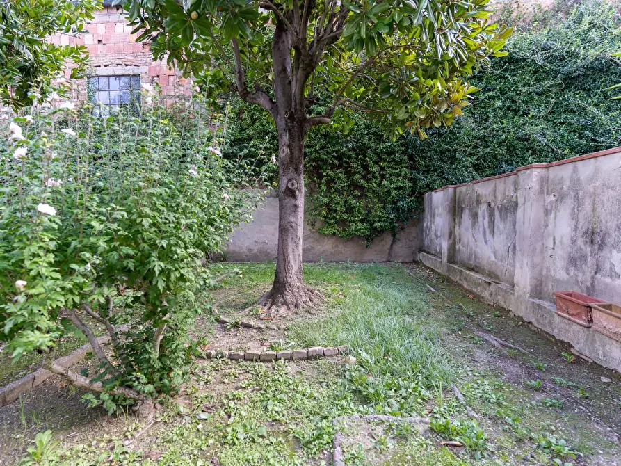 Immagine 5 di Terratetto in vendita  a Empoli