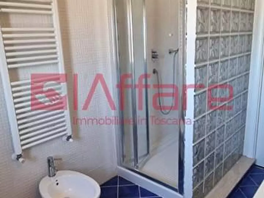 Immagine 9 di Appartamento in affitto  a Pontedera