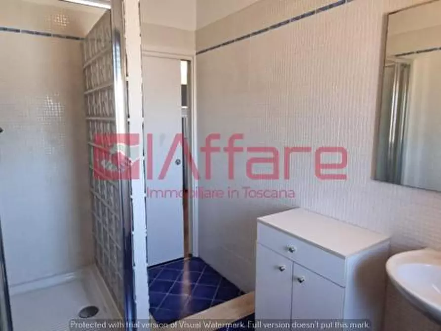 Immagine 12 di Appartamento in affitto  a Pontedera