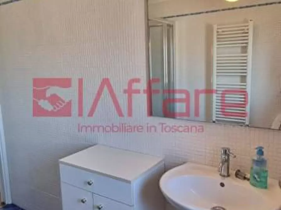 Immagine 15 di Appartamento in affitto  a Pontedera