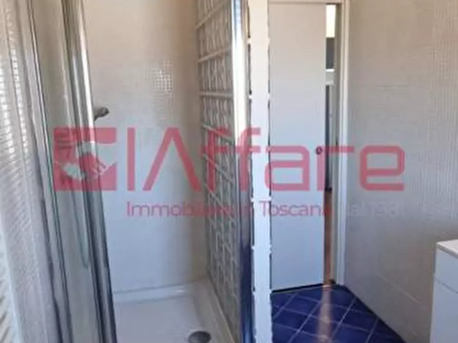 Immagine 10 di Appartamento in affitto  a Pontedera