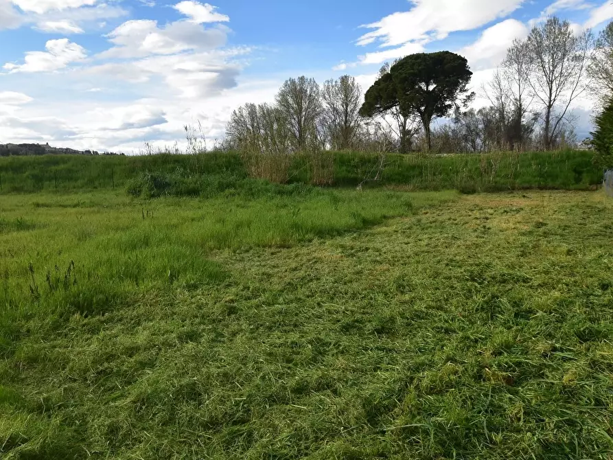 Immagine 31 di Terratetto in vendita  a Castelfiorentino