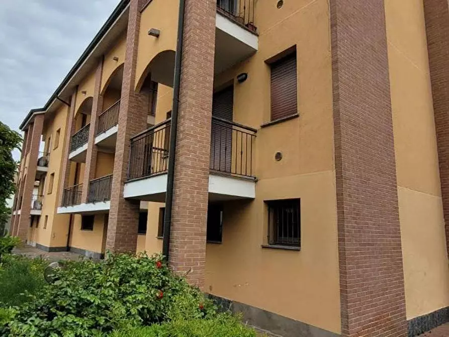 Immagine 2 di Appartamento in vendita  a Bressana Bottarone