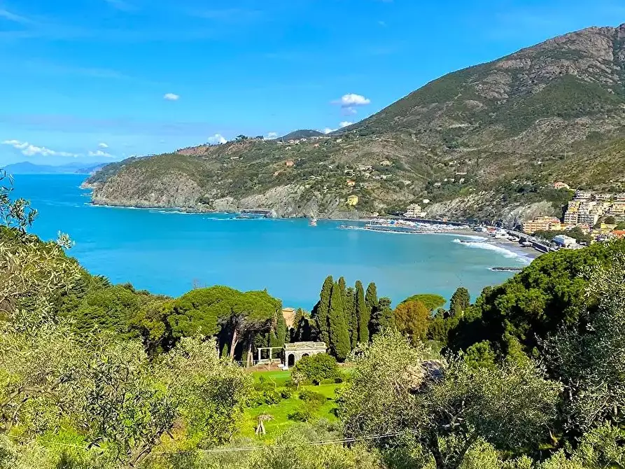 Immagine 1 di Casa semindipendente in vendita  a Levanto