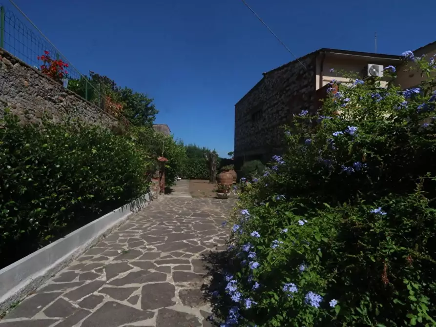 Immagine 11 di Terratetto in vendita  a Buti