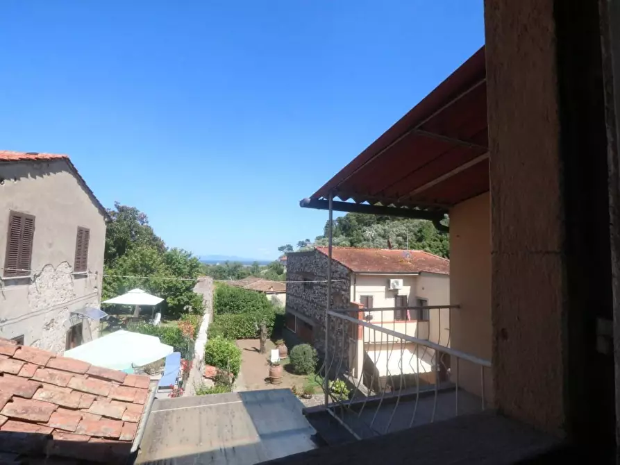 Immagine 42 di Terratetto in vendita  a Buti