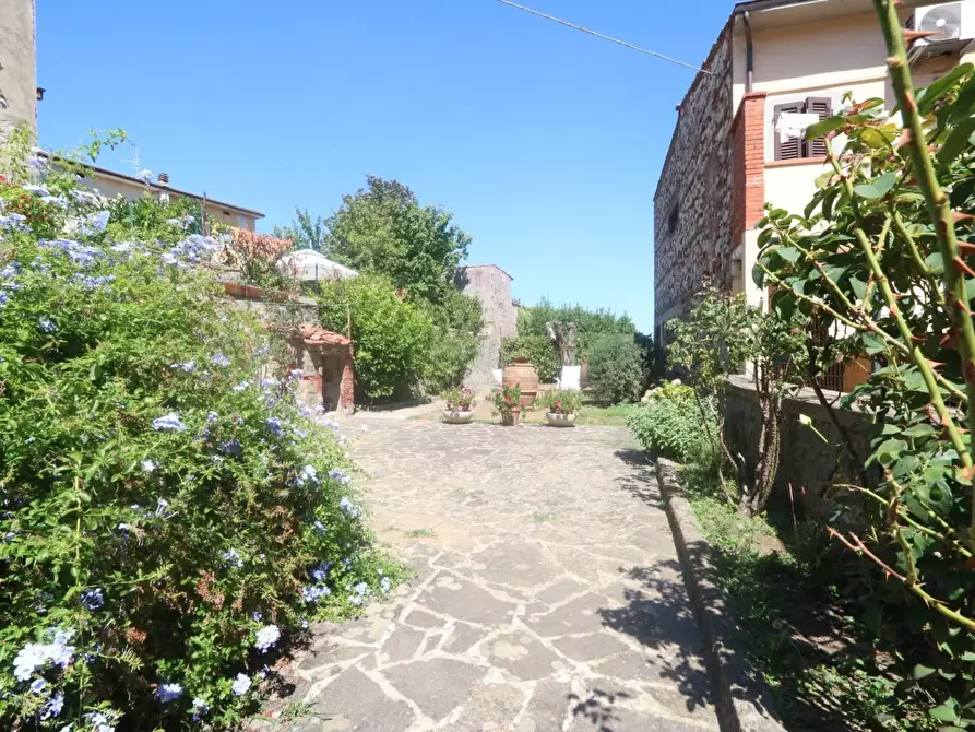 Immagine 1 di Terratetto in vendita  a Buti