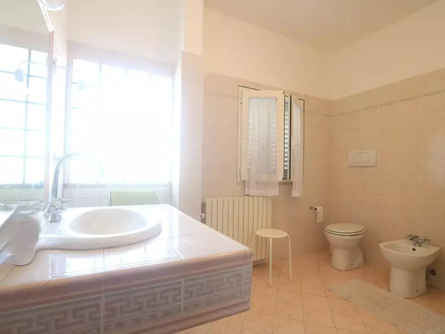 Immagine 27 di Terratetto in vendita  a Buti