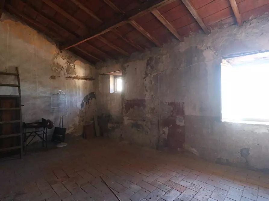 Immagine 41 di Terratetto in vendita  a Buti