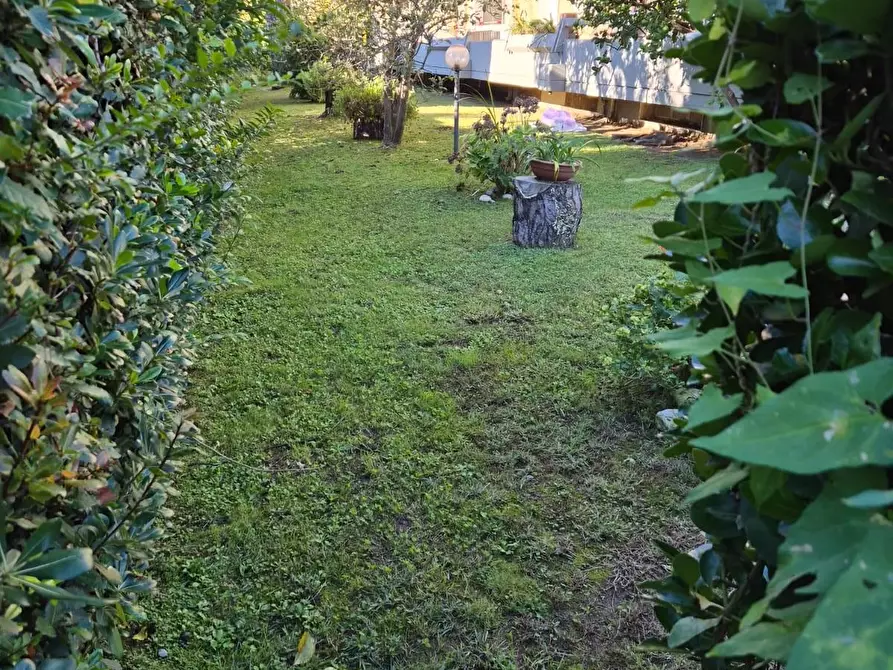 Immagine 14 di Appartamento in vendita  a Massa